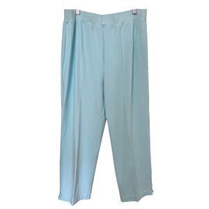 Talbots Petites Pull On Pants Large  Light Blue Stretch